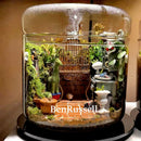 GobekUsa Glass Bottle Terrarium Kit