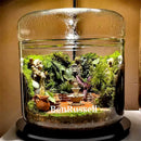 GobekUsa Glass Bottle Terrarium Kit