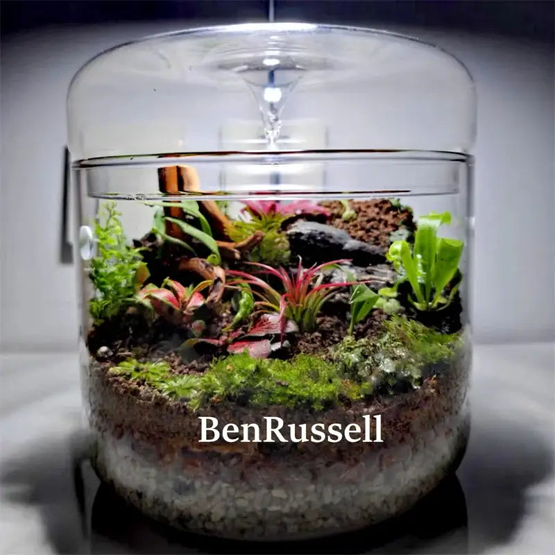 GobekUsa Glass Bottle Terrarium Kit, photo 8 of 8