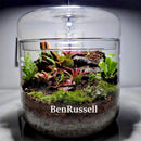 GobekUsa Glass Bottle Terrarium Kit