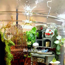 GobekUsa Glass Bottle Terrarium Kit