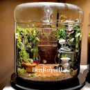 GobekUsa Glass Bottle Terrarium Kit