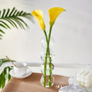 GobekUsa Glass Bubble Hydroponic Vase for Wedding and Home