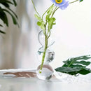GobekUsa Glass Bubble Hydroponic Vase for Wedding and Home