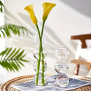 GobekUsa Glass Bubble Hydroponic Vase for Wedding and Home