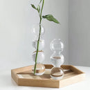 GobekUsa Glass Bubble Hydroponic Vase for Wedding and Home