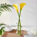 Clear glass bubble hydroponic vase wedding and living room decor by Decorbites