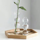 Clear glass bubble hydroponic vase wedding and living room decor by Decorbites