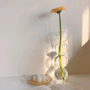 Clear glass bubble hydroponic vase wedding and living room decor by Decorbites