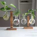 GobekUsa Glass Bulb Vase with Wooden Stand