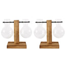GobekUsa Glass Bulb Vase with Wooden Stand