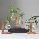 GobekUsa Glass Bulb Vase with Wooden Stand