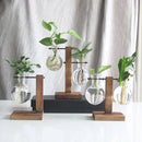 GobekUsa Glass Bulb Vase with Wooden Stand