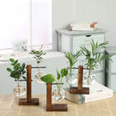 GobekUsa Glass Bulb Vase with Wooden Stand