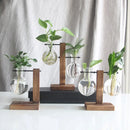 Modern five piece glass bulb vase with wooden stand living room decor by Decorbites