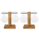 Modern five piece glass bulb vase with wooden stand living room decor