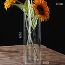 GobekUsa Glass Hydroponic Desktop Planter Vase