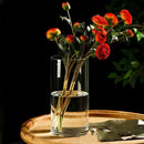 GobekUsa Glass Hydroponic Desktop Planter Vase