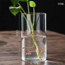 GobekUsa Glass Hydroponic Desktop Planter Vase
