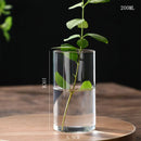 GobekUsa Glass Hydroponic Desktop Planter Vase