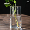 GobekUsa Glass Hydroponic Desktop Planter Vase