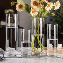 GobekUsa Glass Hydroponic Desktop Planter Vase