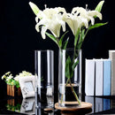 GobekUsa Glass Hydroponic Desktop Planter Vase