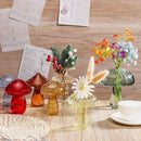 GobekUsa Glass Hydroponic Flower Vase - Home Decor
