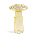 GobekUsa Glass Hydroponic Flower Vase - Home Decor