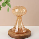 GobekUsa Glass Hydroponic Flower Vase - Home Decor