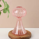 GobekUsa Glass Hydroponic Flower Vase - Home Decor
