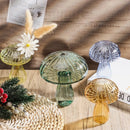 GobekUsa Glass Hydroponic Flower Vase - Home Decor