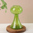 GobekUsa Glass Hydroponic Flower Vase - Home Decor