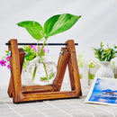 GobekUsa Glass Planter Propagation Station with Wooden Rack