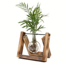 GobekUsa Glass Planter Propagation Station with Wooden Rack