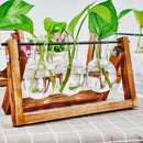 GobekUsa Glass Planter Propagation Station with Wooden Rack