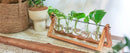 GobekUsa Glass Planter Propagation Station with Wooden Rack