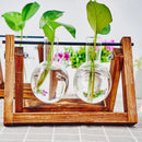 GobekUsa Glass Planter Propagation Station with Wooden Rack