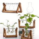GobekUsa Glass Planter Propagation Station with Wooden Rack