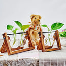 GobekUsa Glass Planter Propagation Station with Wooden Rack