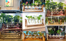GobekUsa Glass Planter Propagation Station with Wooden Rack