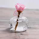 GobekUsa Glass Pomegranate Flower Vase Home Decor