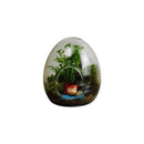 GobekUsa Glass Succulent Egg-shaped Terrarium