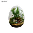 GobekUsa Glass Succulent Egg-shaped Terrarium