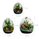 GobekUsa Glass Succulent Egg-shaped Terrarium