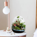 GobekUsa Glass Succulent Egg-shaped Terrarium