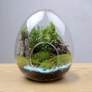 GobekUsa Glass Succulent Egg-shaped Terrarium