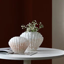 GobekUsa Glass Vase Floral Arrangement Terrarium Clamshell Craft Shell Home Decor