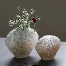 GobekUsa Glass Vase Floral Arrangement Terrarium Clamshell Craft Shell Home Decor