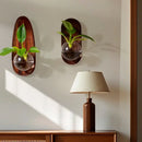 GobekUsa Glass Vase Flowerpot Wall Decoration for Home Décor and Hydroponics